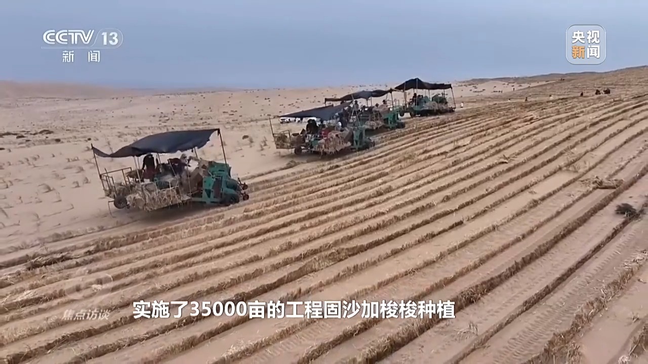 焦点访谈丨让荒漠添绿又生金 看“三北”的生态蝶变