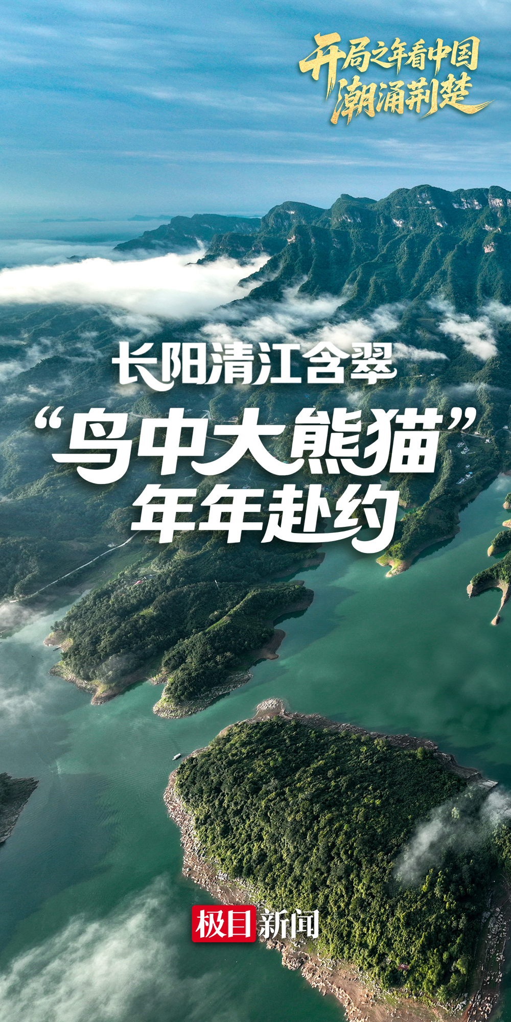 开局之年看中国•潮涌荆楚|长阳清江含翠,“鸟中大熊猫”年年赴约 开局之年看中国•潮涌荆楚|长阳清江含翠,“鸟中大熊猫”年年赴约