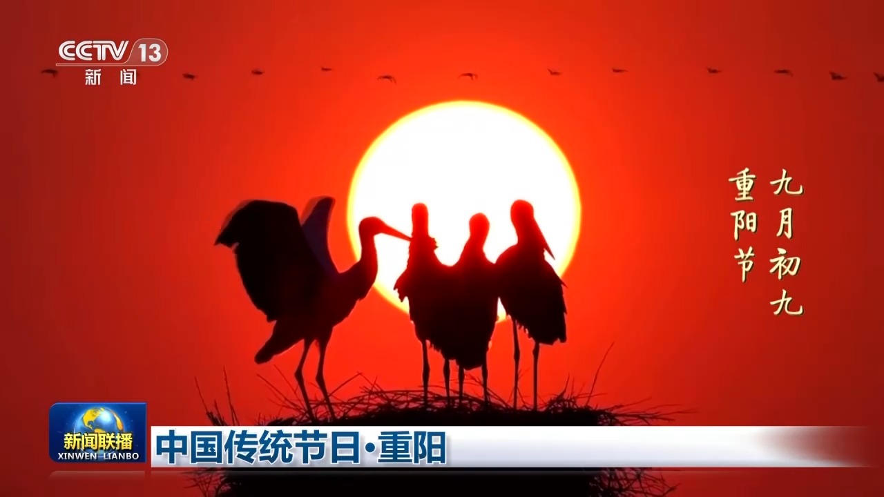 视频丨九九重阳 久久情长