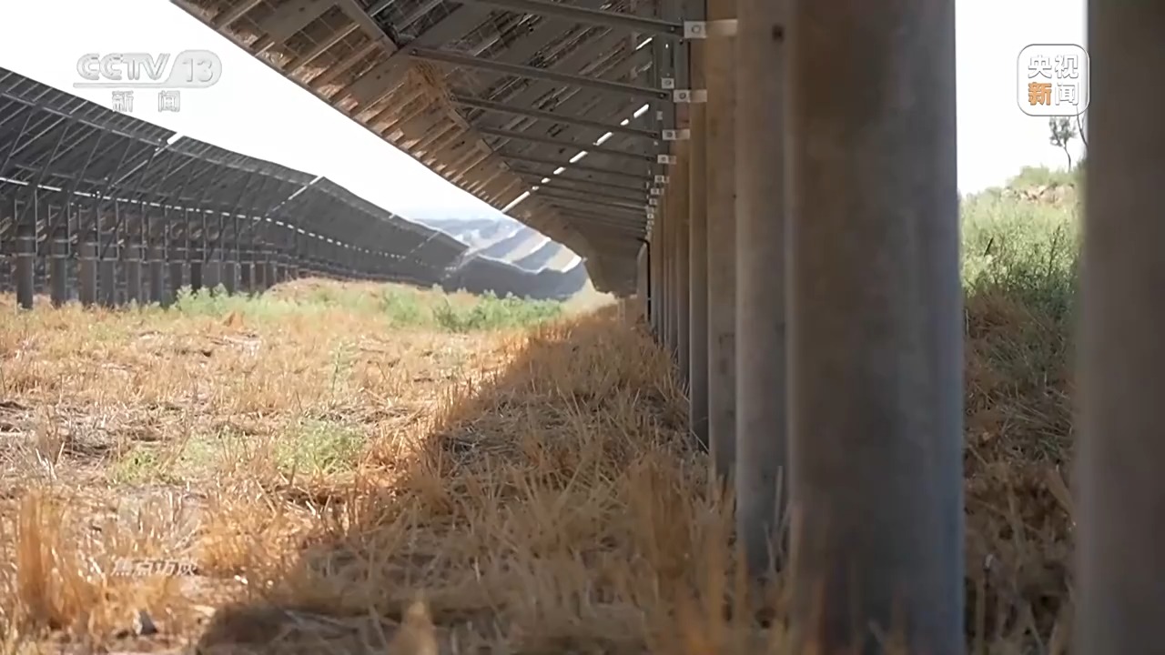 焦点访谈丨让荒漠添绿又生金 看“三北”的生态蝶变