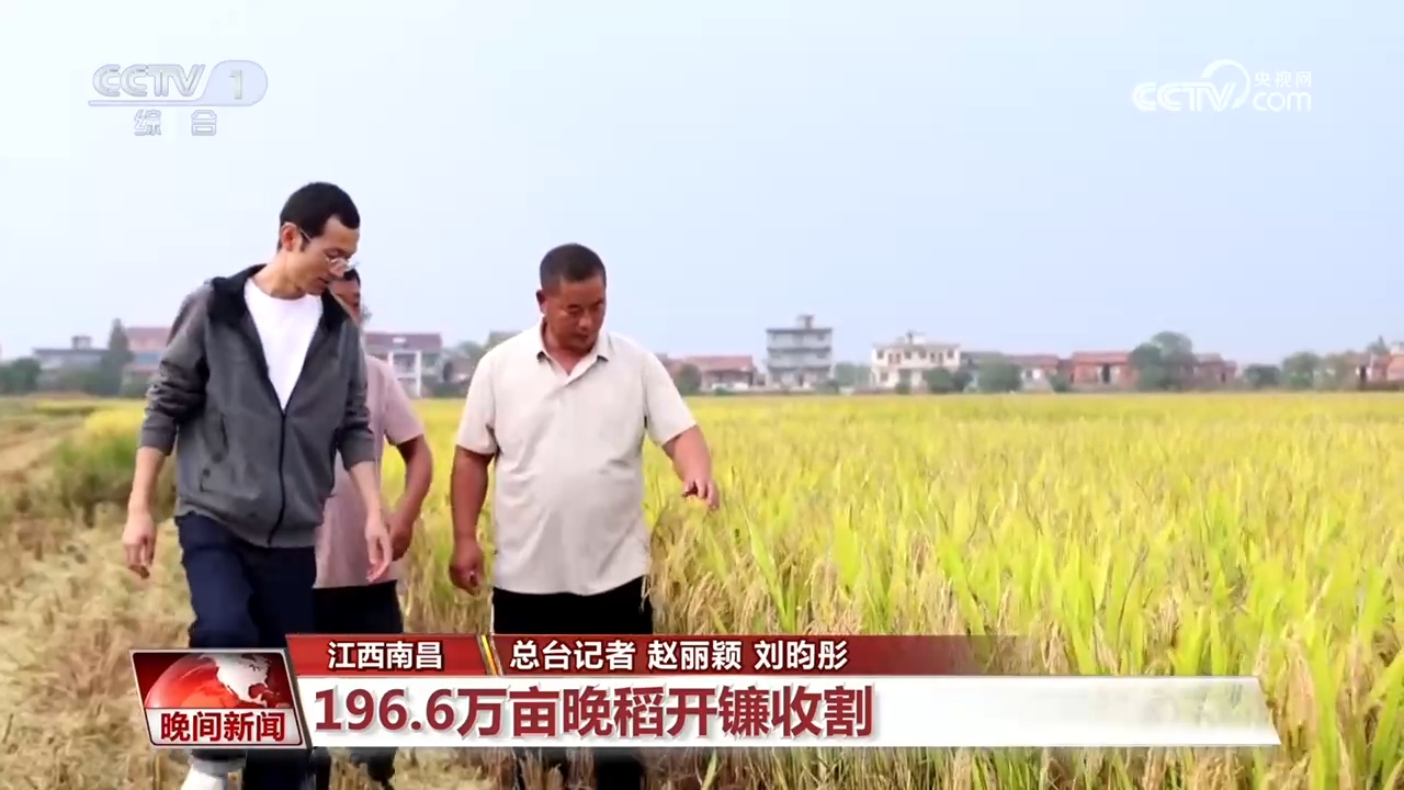 全国秋粮大面积收获进行时!各地特色产业助农增收