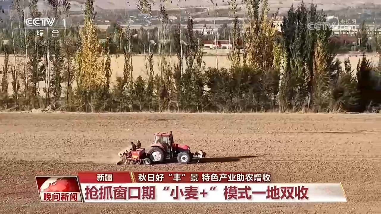 全国秋粮大面积收获进行时!各地特色产业助农增收