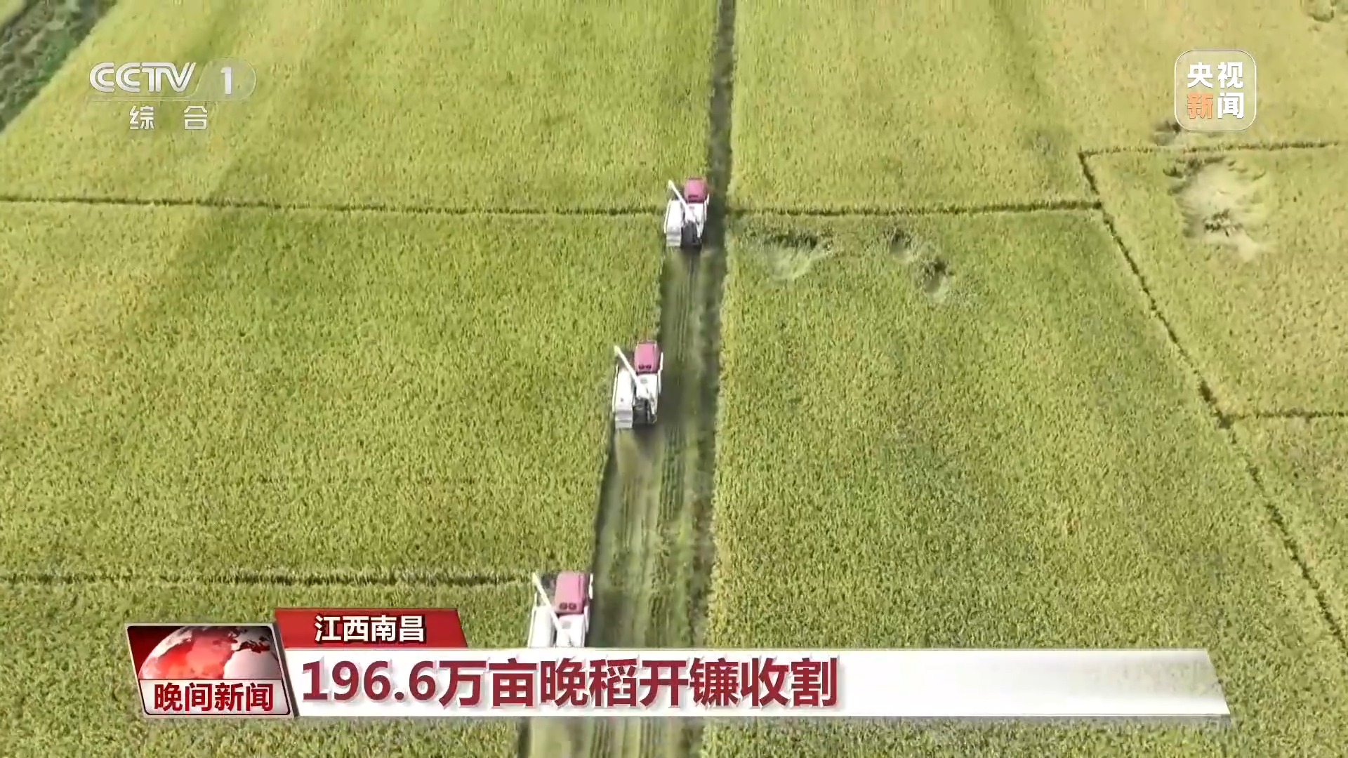 视频丨全国秋粮大面积收获进行时!各地特色产业助农增收
