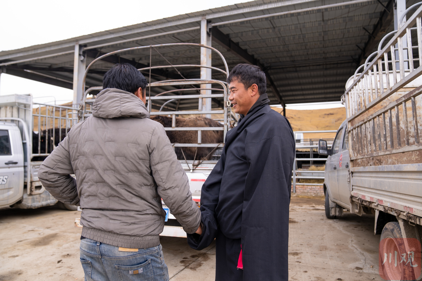 嵩草碧连天——“红军过草地第一村”班佑村蹲点记