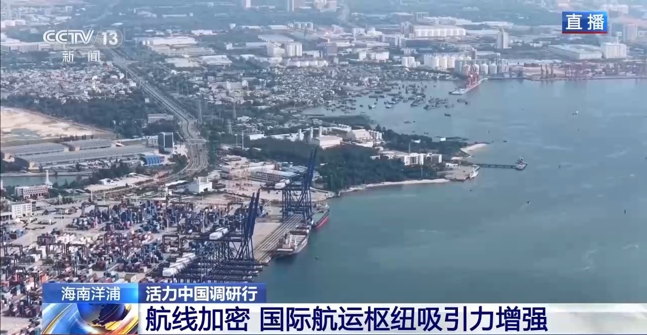 视频丨一港联通内外 自贸港“样板间”激发新活力