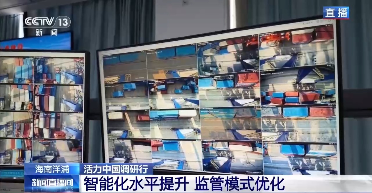 视频丨一港联通内外 自贸港“样板间”激发新活力
