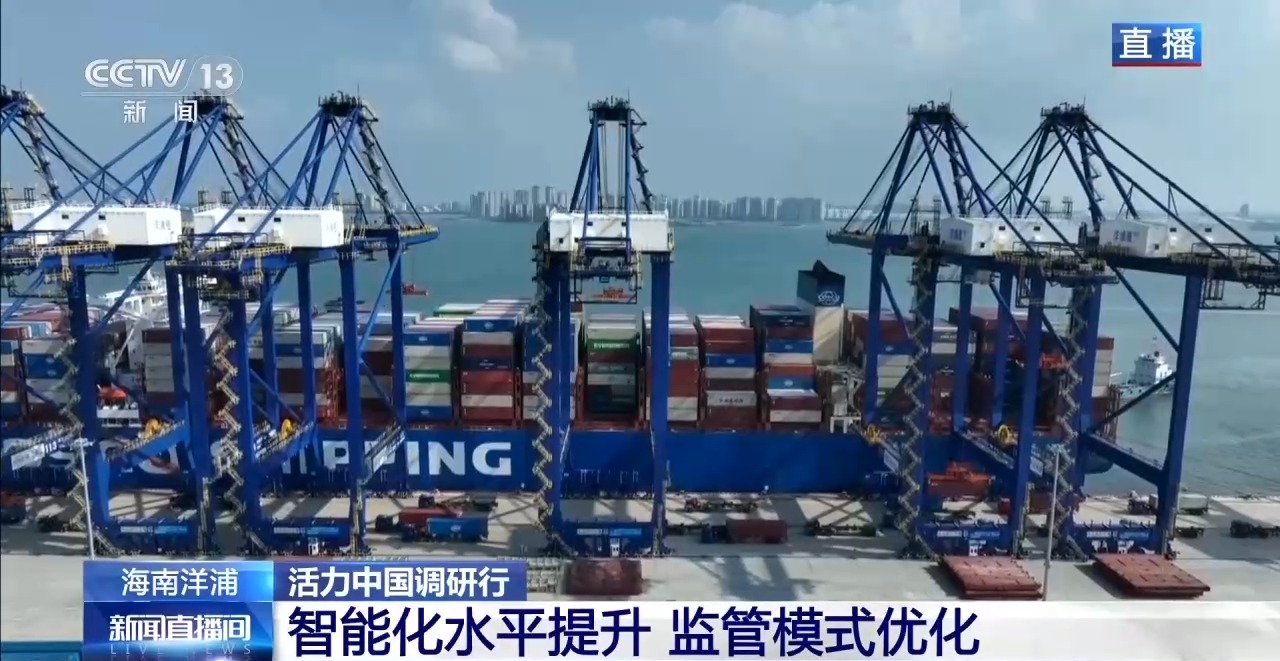 视频丨一港联通内外 自贸港“样板间”激发新活力