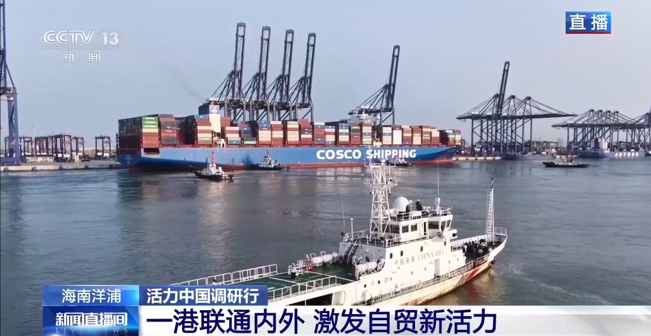 视频丨一港联通内外 自贸港“样板间”激发新活力