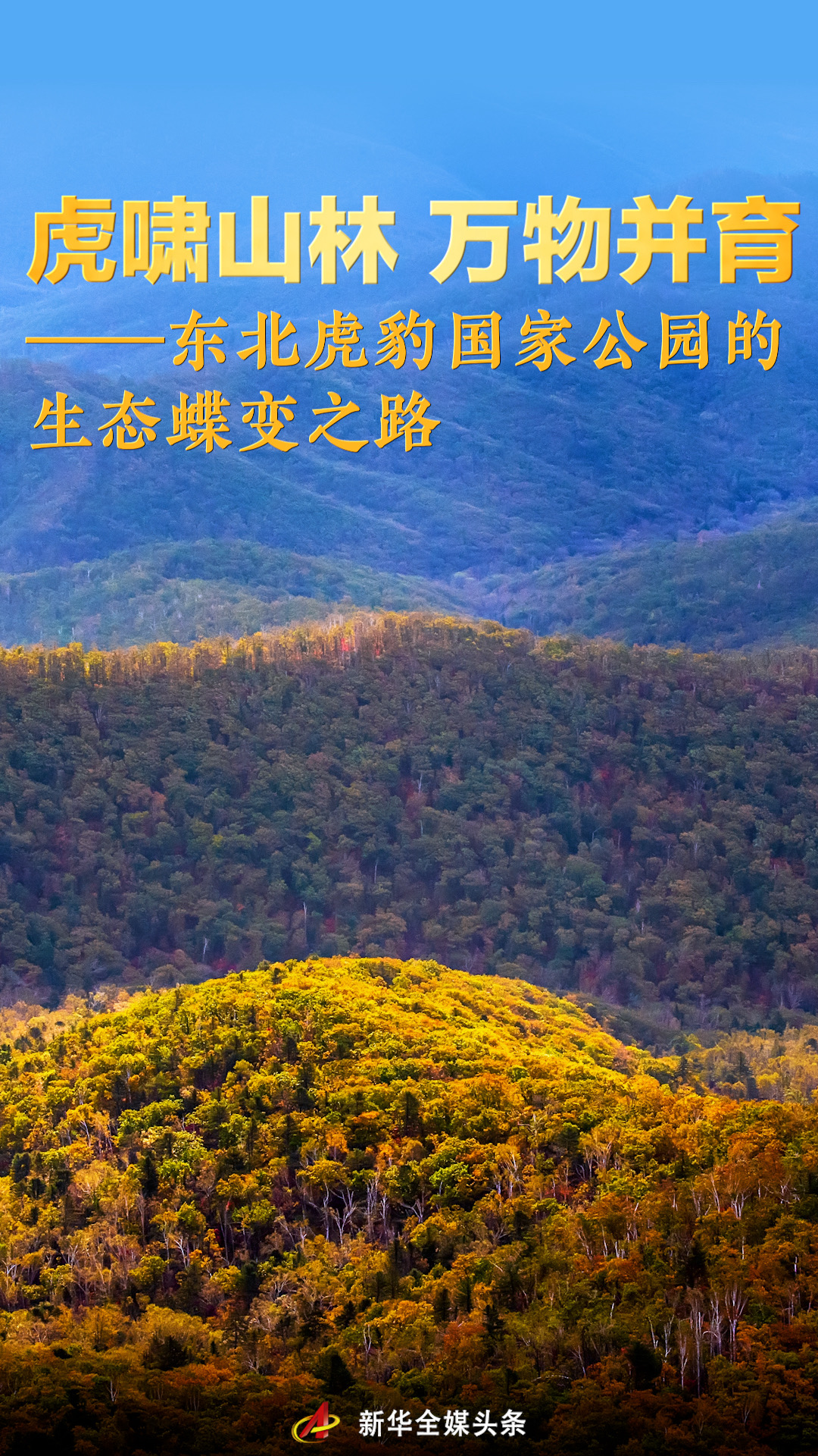 东北虎豹国家公园的生态蝶变之路