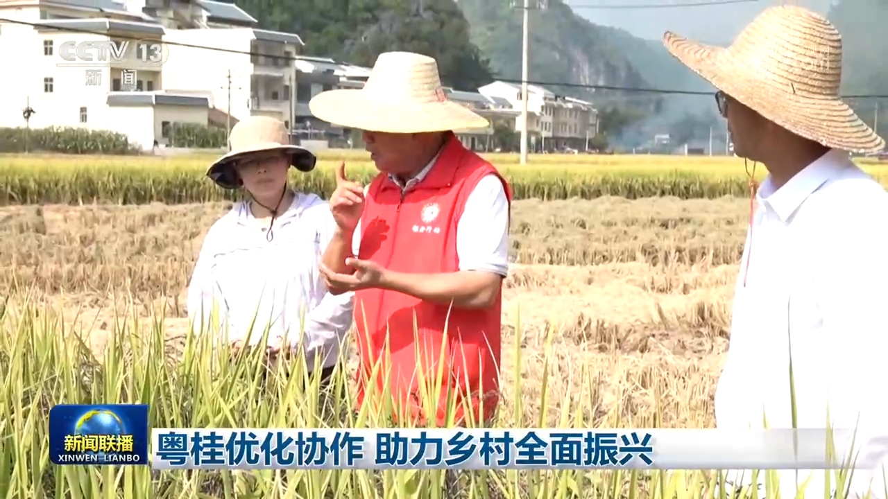粤桂优化协作 助力乡村全面振兴