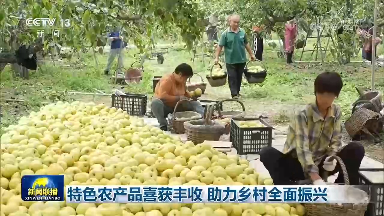 特色农产品喜获丰收 助力乡村全面振兴
