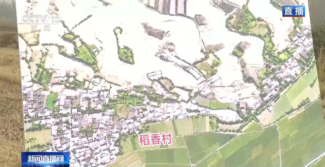 视频丨沙地种水稻、盐碱地结菠萝 这场大漠丰收超硬核