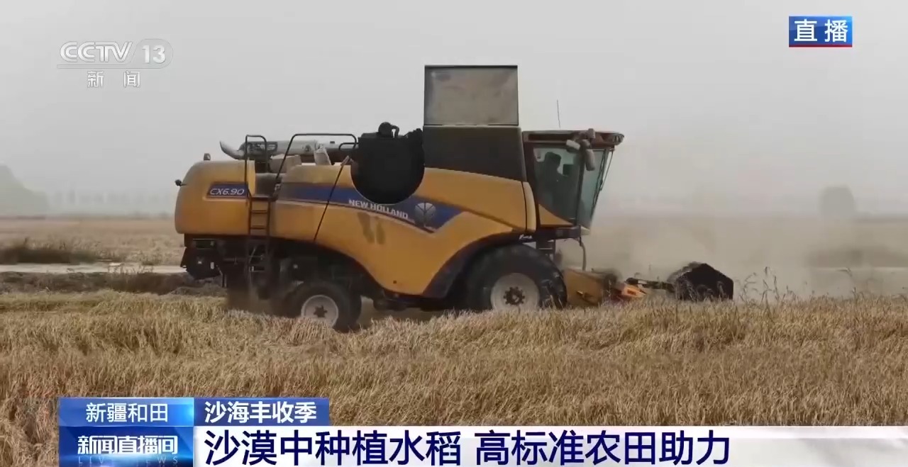 视频丨沙地种水稻、盐碱地结菠萝 这场大漠丰收超硬核