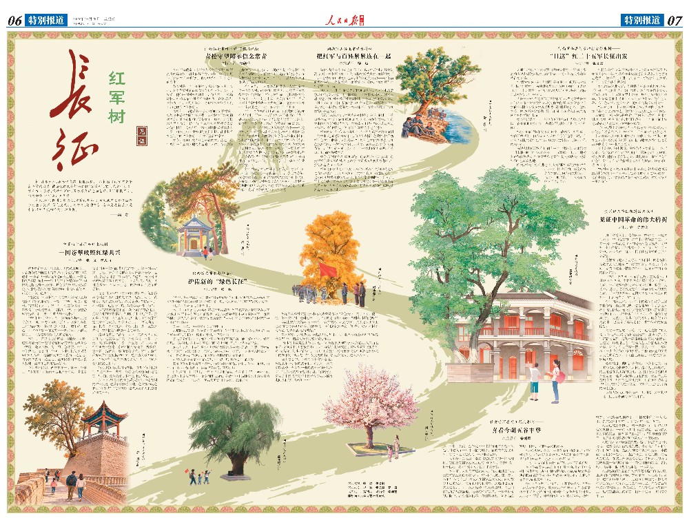 这些“红军树”,见证长征精神!