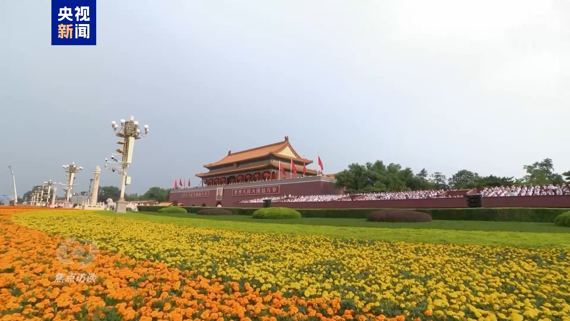 焦点访谈丨根植实践续本源——思想的力量