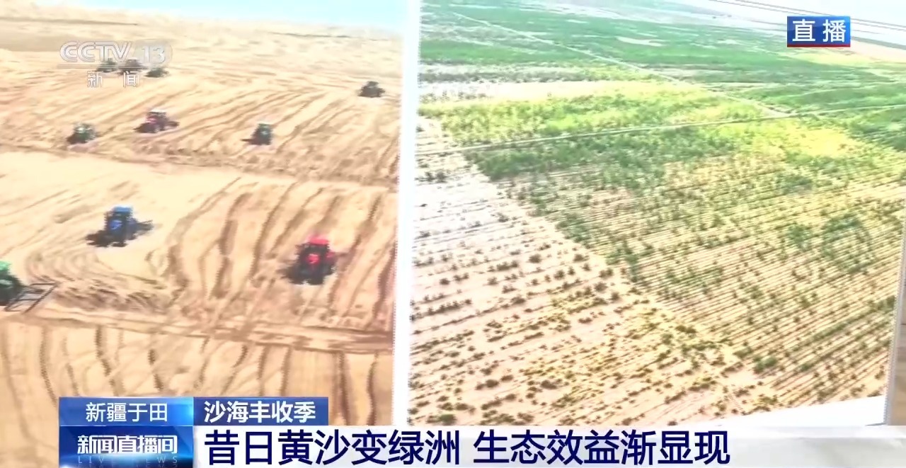 视频丨锁边“合龙”不是终点 塔克拉玛干沙漠边缘还在不断变绿