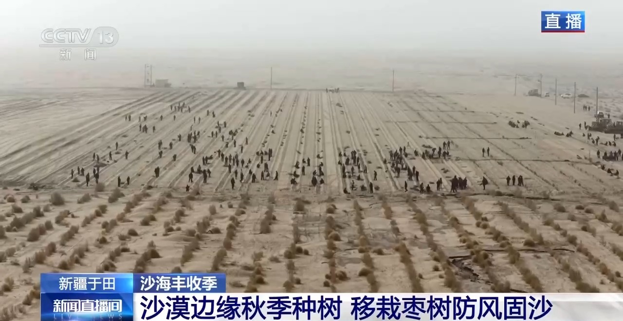 视频丨锁边“合龙”不是终点 塔克拉玛干沙漠边缘还在不断变绿