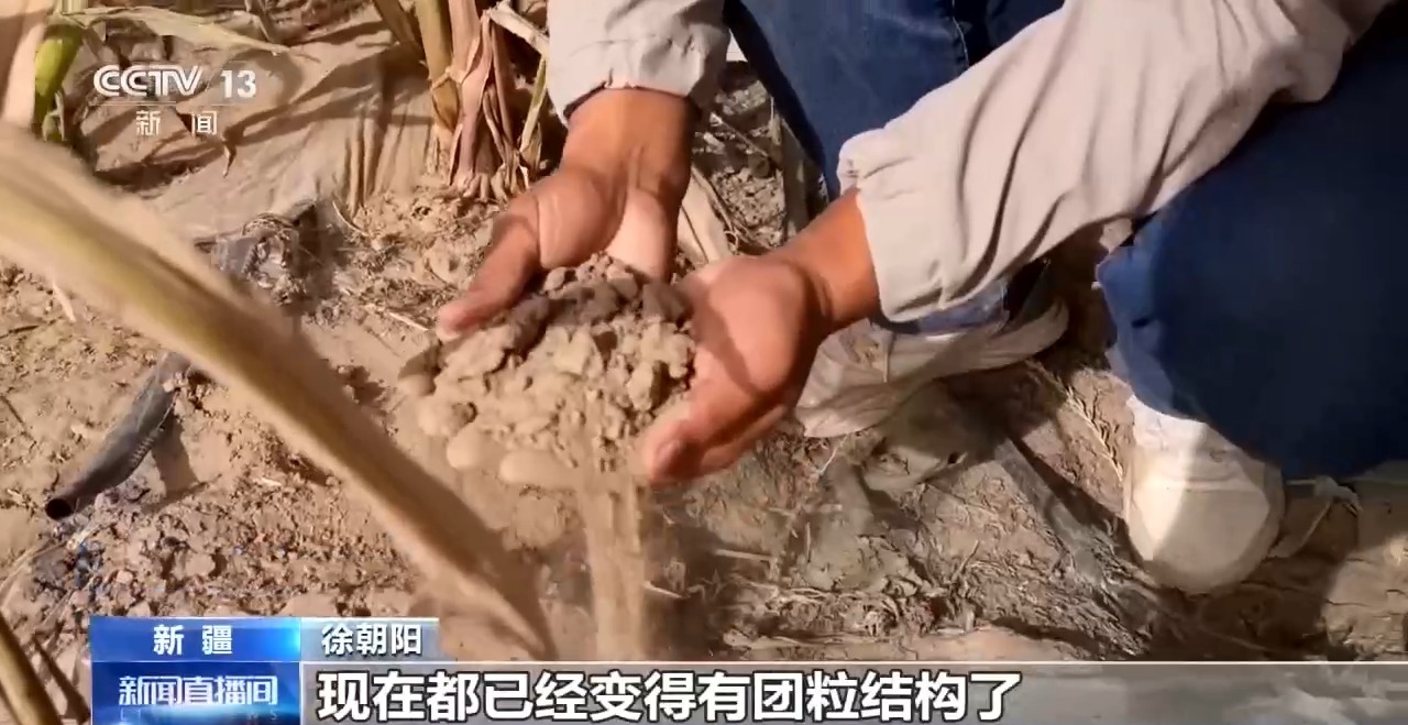 视频丨锁边“合龙”不是终点 塔克拉玛干沙漠边缘还在不断变绿