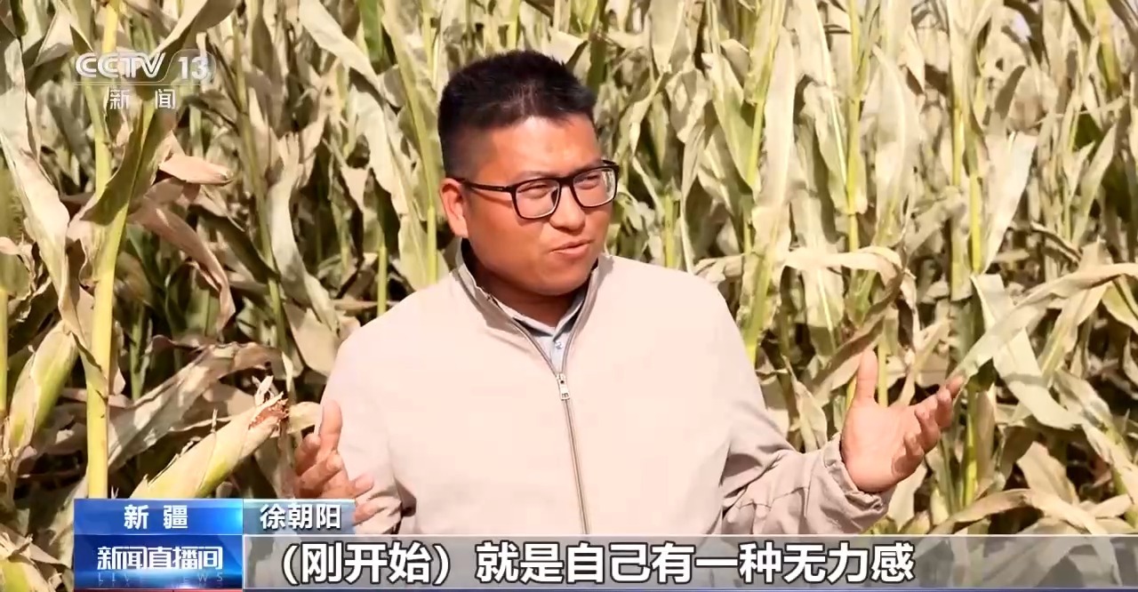 视频丨锁边“合龙”不是终点 塔克拉玛干沙漠边缘还在不断变绿