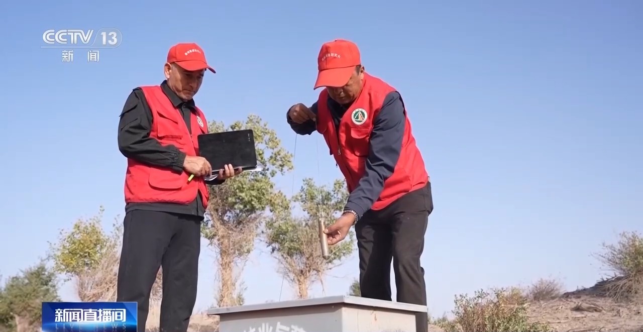 视频丨锁边“合龙”不是终点 塔克拉玛干沙漠边缘还在不断变绿