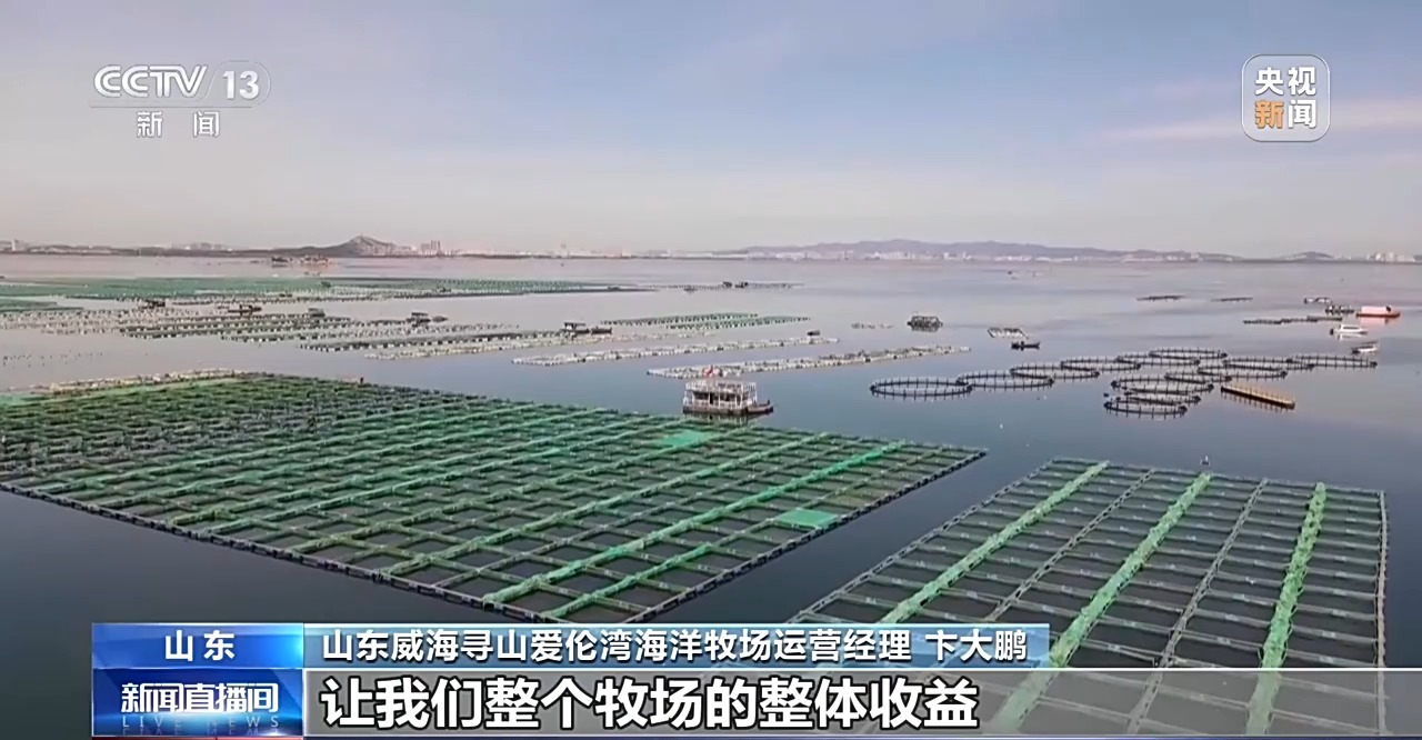 视频丨海水养殖产量超2000万吨!深海好鱼如何“游”上百姓餐桌