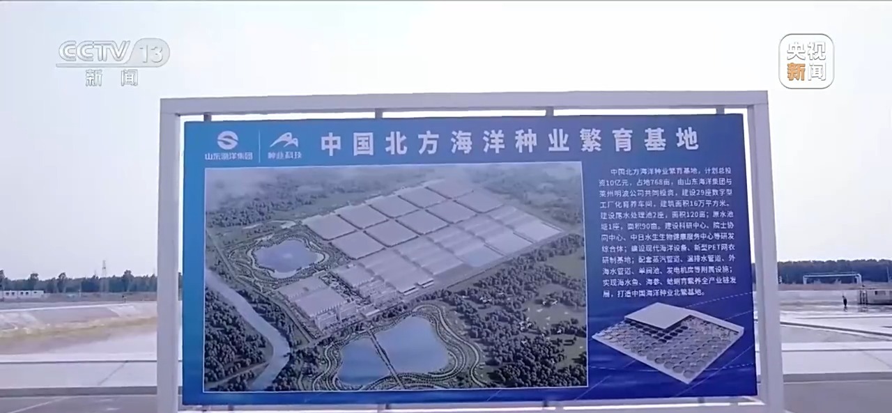 视频丨海水养殖产量超2000万吨!深海好鱼如何“游”上百姓餐桌