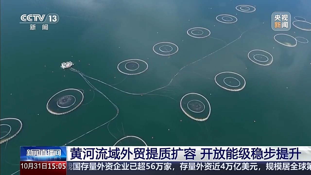 视频丨累计进出口35.53万亿元!黄河流域外贸五年“成绩单”亮眼