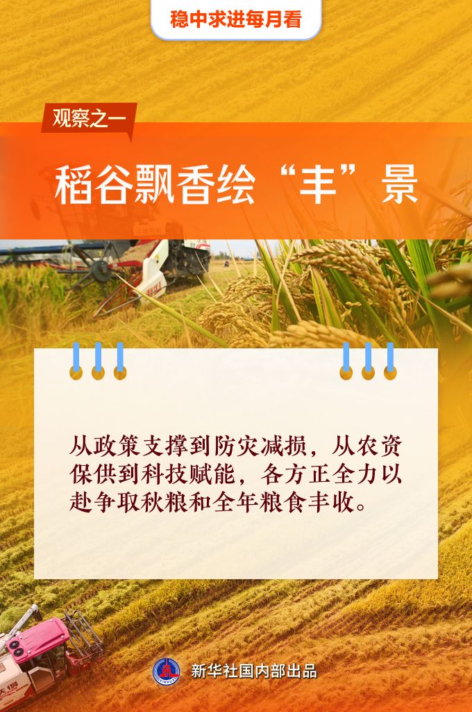 稳中求进每月看丨阔步前行展新姿——10月全国各地经济社会发展观察