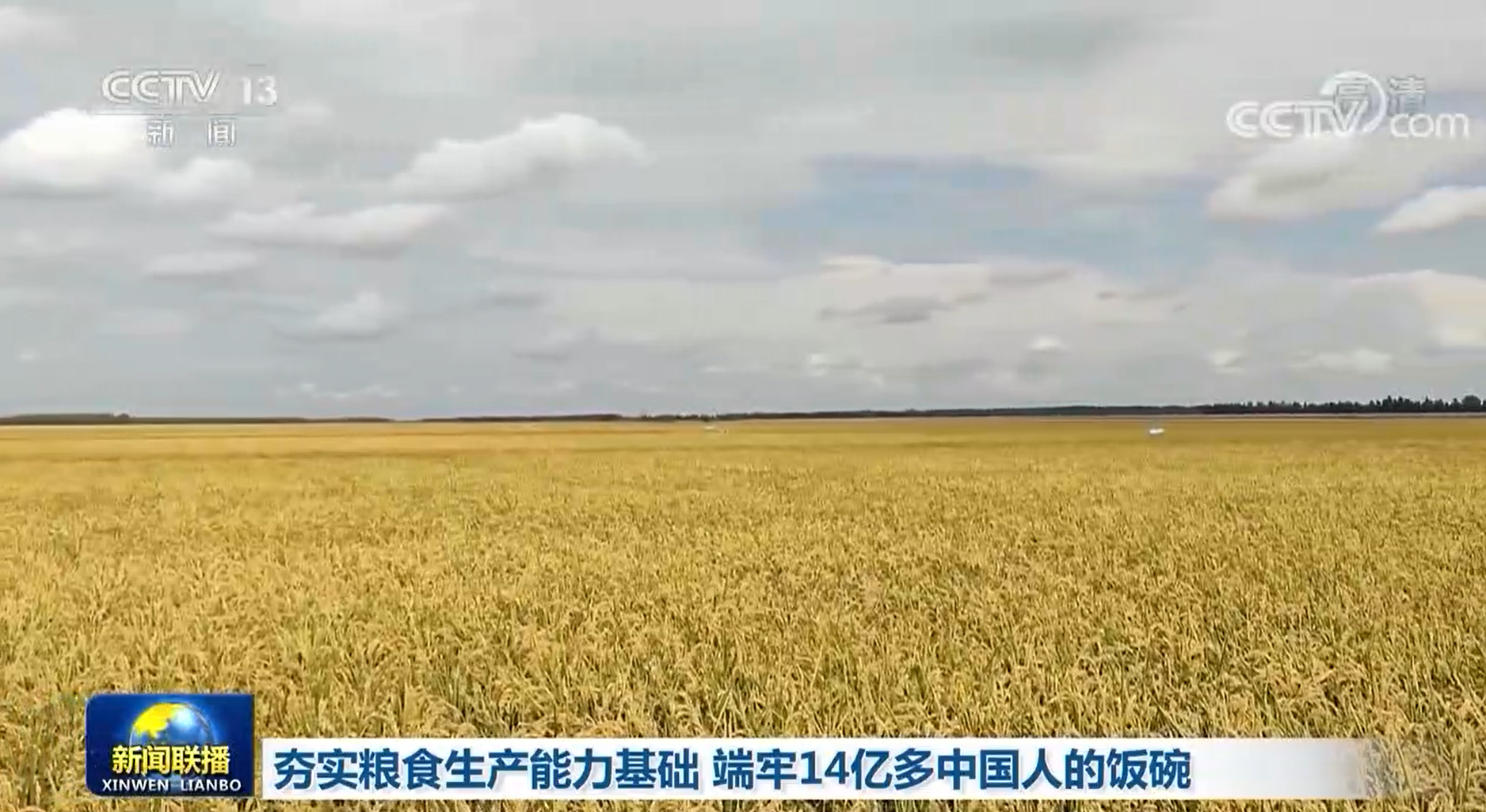 夯实粮食生产能力基础 端牢14亿多中国人的饭碗