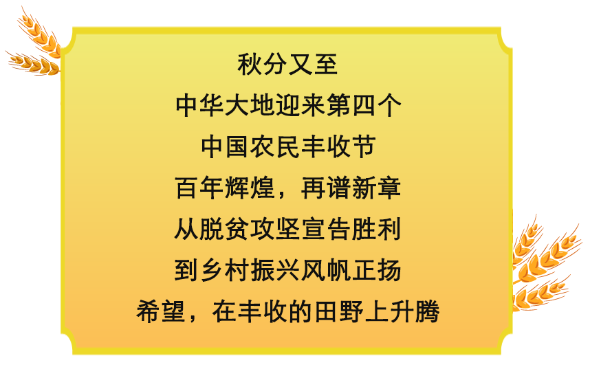 镜观·领航丨乡村振兴，在希望的田野上