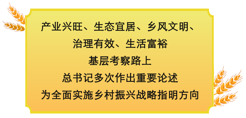 镜观·领航丨乡村振兴，在希望的田野上