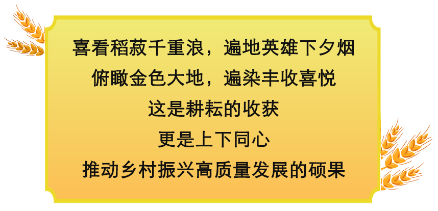 镜观·领航丨乡村振兴，在希望的田野上