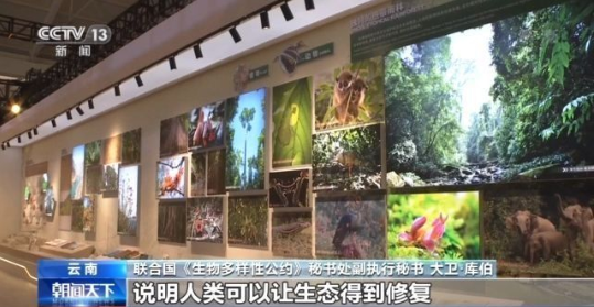 中国科学院：中国在生物多样性研究多个领域世界领跑