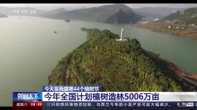 5006万亩！为了这个目标，一起“植”此青绿吧！