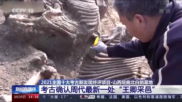 考古新发现！古代姑蔑国极有可能真实存在