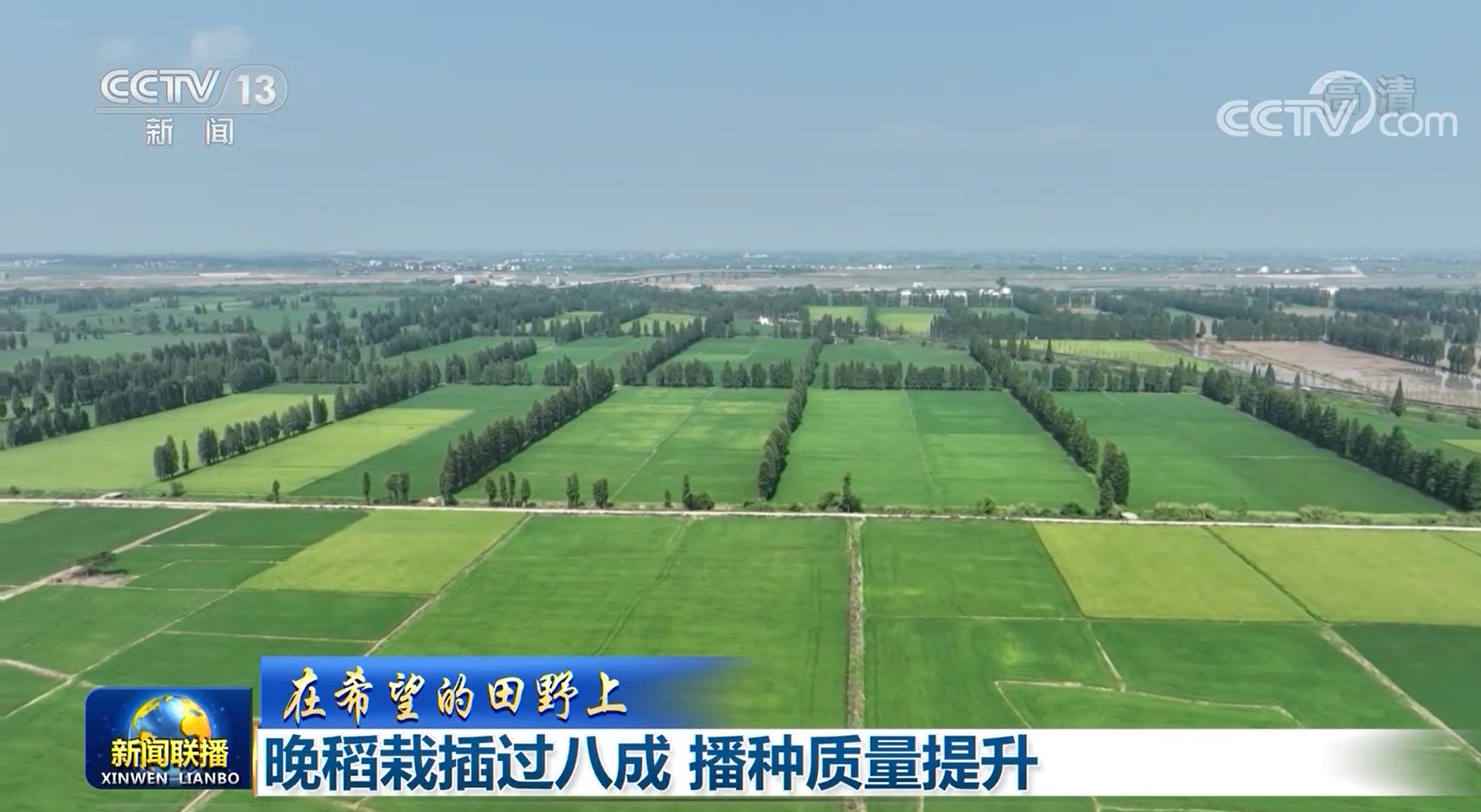 【在希望的田野上】晚稻栽插过八成 播种质量提升