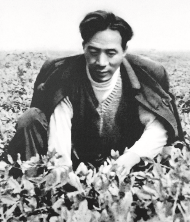 “这首词我是有感而发，直抒胸臆”｜“物”见初心·总书记的时代印记