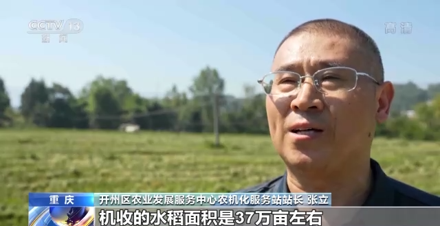 丰收好景象！稻浪滚滚、高粱饱满、瓜果飘香……