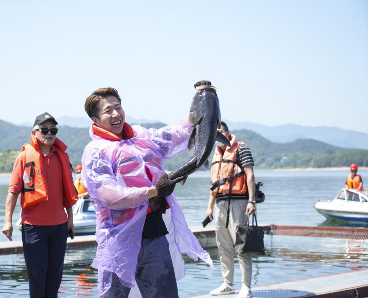 【2022打卡中国】山水相逢“皖美”发现 外国网红博主打卡锦绣安徽生态之美