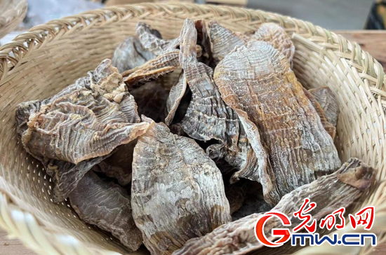 一起跨越看泰顺·共富故事| 一根竹子撬起一个生态产业