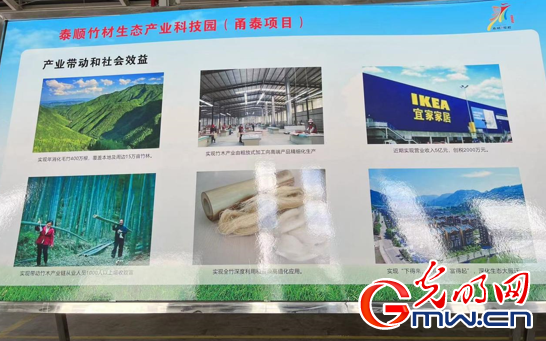 一起跨越看泰顺·共富故事| 一根竹子撬起一个生态产业