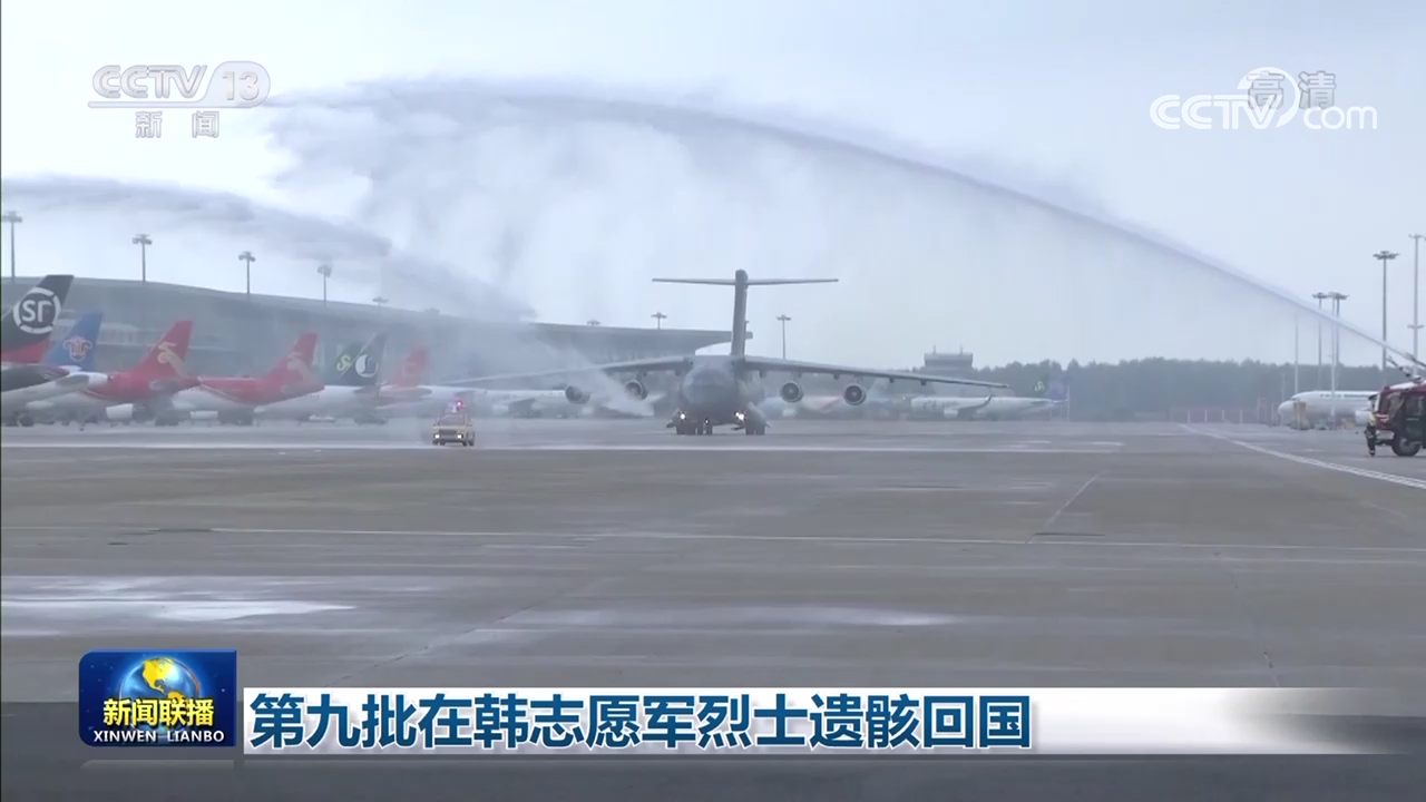 第九批在韩志愿军烈士遗骸回国