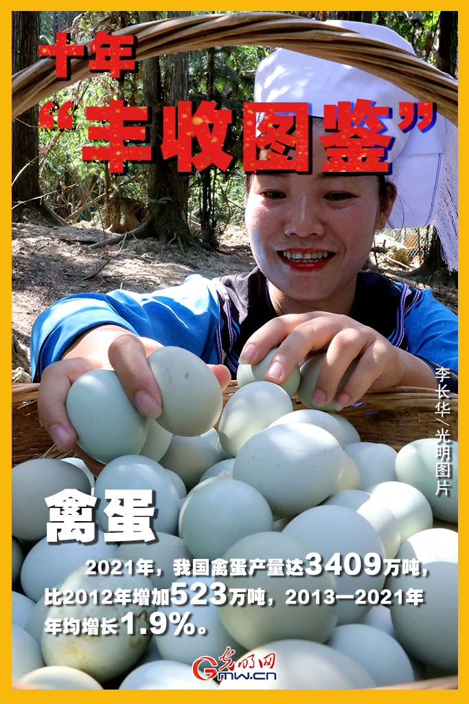 海报丨【中国农民丰收节】十年“丰收图鉴”