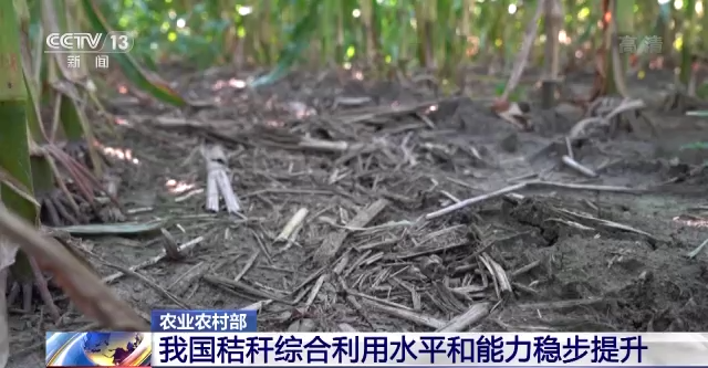 农业农村部：我国农业生态环境建设成效显著(图5)