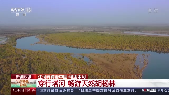 江河奔腾看中国丨穿行塔里木河 畅游天然胡杨林