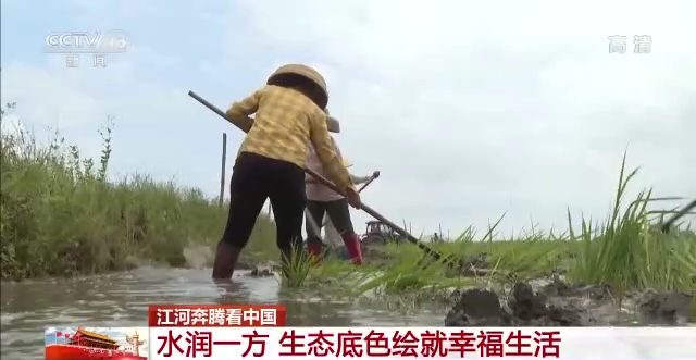 江河奔腾看中国丨水润一方 生态底色绘就幸福生活