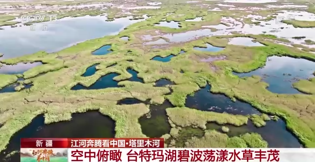 江河奔腾看中国丨台特玛湖：从断流到重焕生机