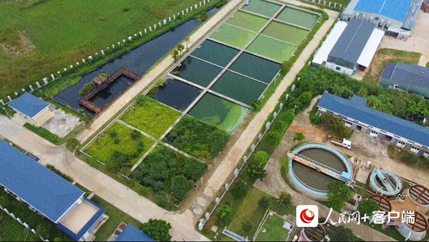 【美丽中国·网络媒体生态行】涠洲岛的美丽密码