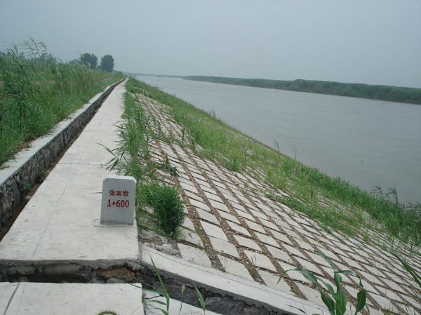【巍巍三峡】湖南岳阳：三峡后续工程生态护岸措施打造长江干堤安全防线