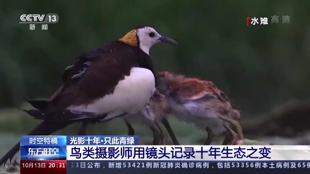 光影十年·只此青绿丨鸟类摄影师用镜头记录十年生态之变